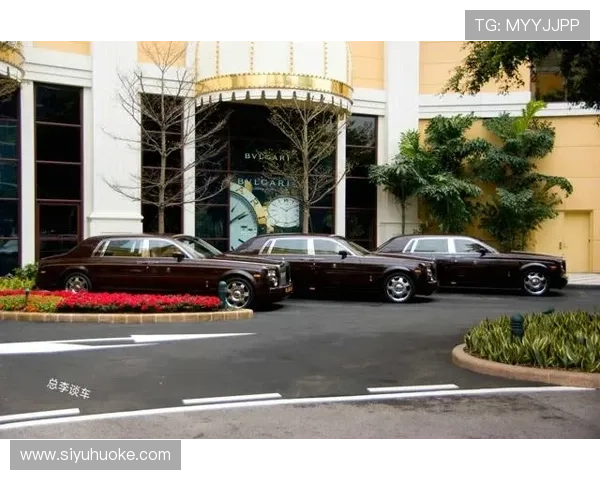 史蒂芬永利对全球金融市场的见解与预测