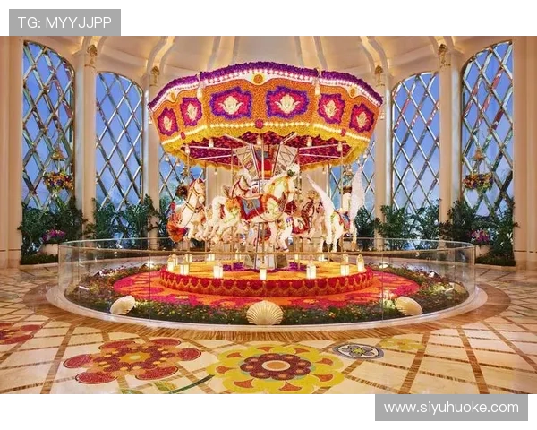 探索澳门金龙娱乐场所的丰富娱乐项目与优质服务体验指南