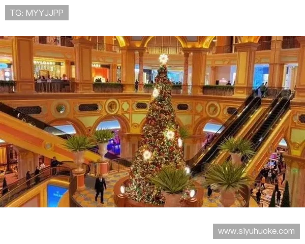 澳门十大娱乐场所最新排名,了解最火爆的娱乐热点地点 澳门十大娱乐场所最新排名,了解最火爆的娱乐热点地点