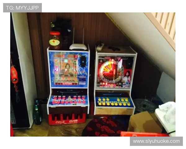 2024年最受欢迎的角子机游戏机推荐及购买指南满足不同玩家的多样需求