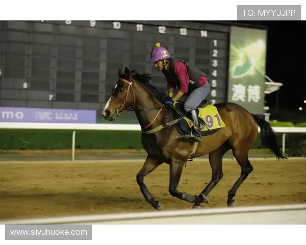 关注澳门赛马会赛事资讯掌握最新赛程与赛事时间安排