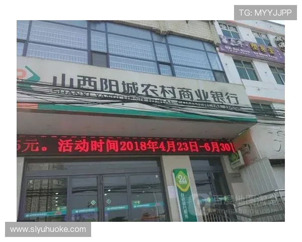 大阳城地址平台最新入口地址全面介绍与安全登录指南