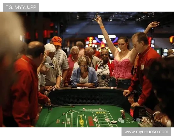 澳门娱乐场热门游戏推荐满足不同玩家的娱乐偏好与获胜策略